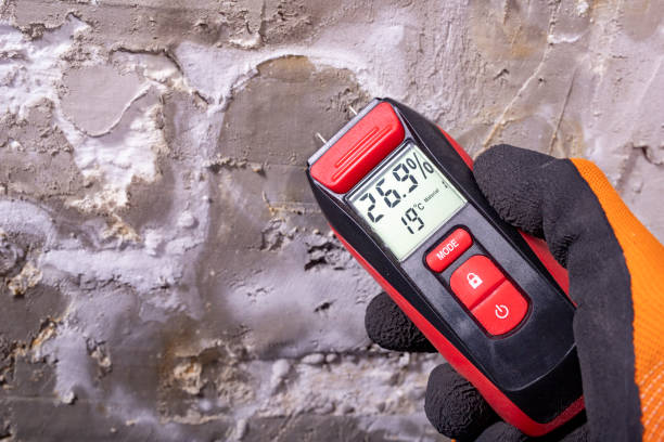 Best Mold Removal Near Me  in King Cove, AK